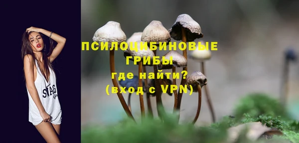 ешки Слюдянка