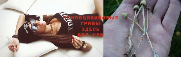 мефедрон мука Снежногорск