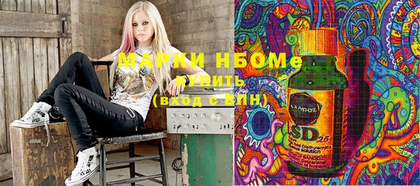молекула духа Калининец