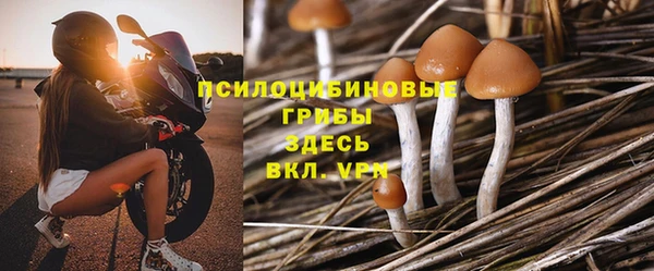 герыч Снежинск