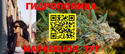 хмурый Гатчина