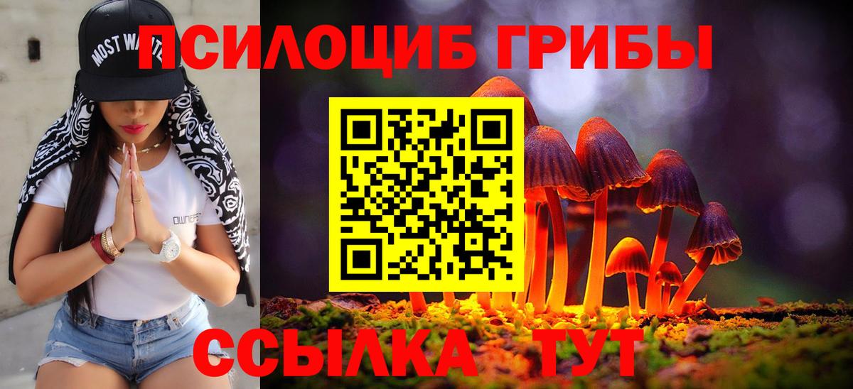 Псилоцибиновые грибы мицелий Ступино